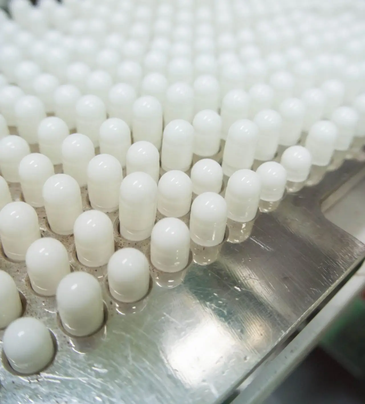 Bio Services CC - Laboratory Testing and contract manufacturing services (4)